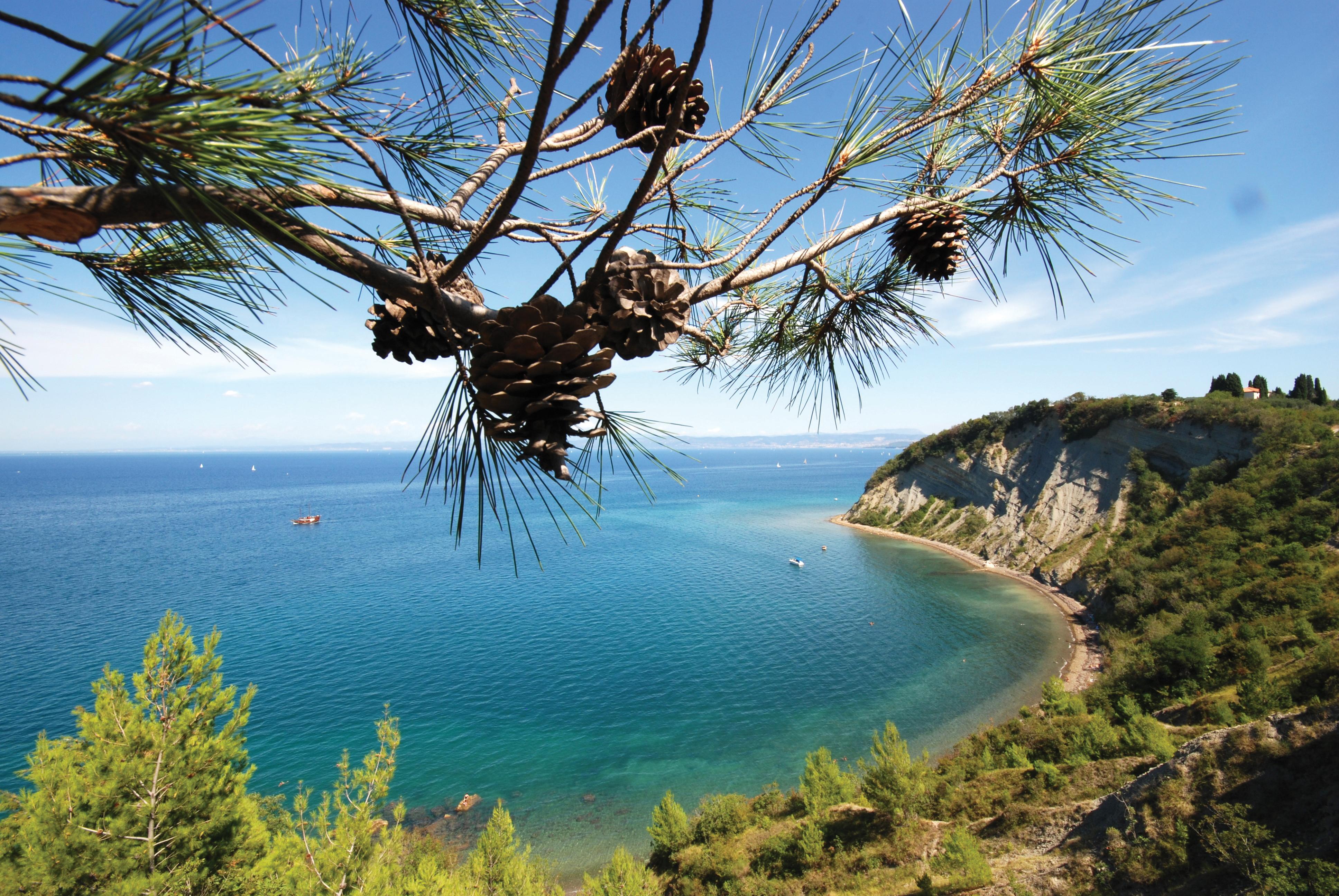 Bioenergy Resort Salinera Apartments Strunjan Exteriér fotografie